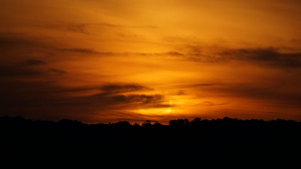DSC07971 DSC07971