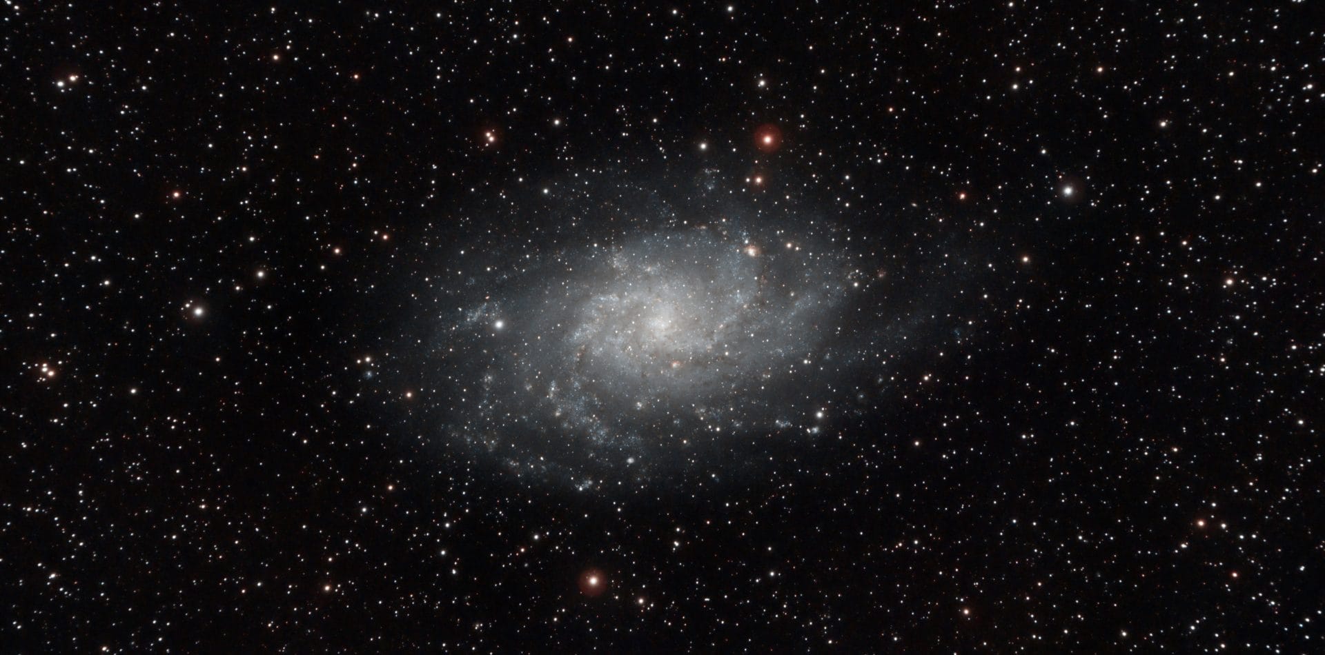 M33Triangulum.jpg